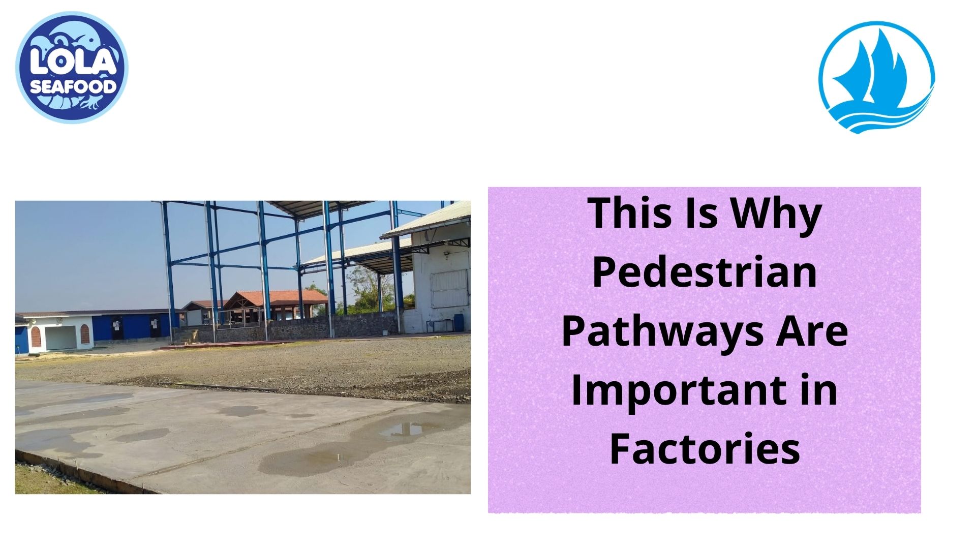  This Is Why Pedestrian Pathways Are Important in Factories
